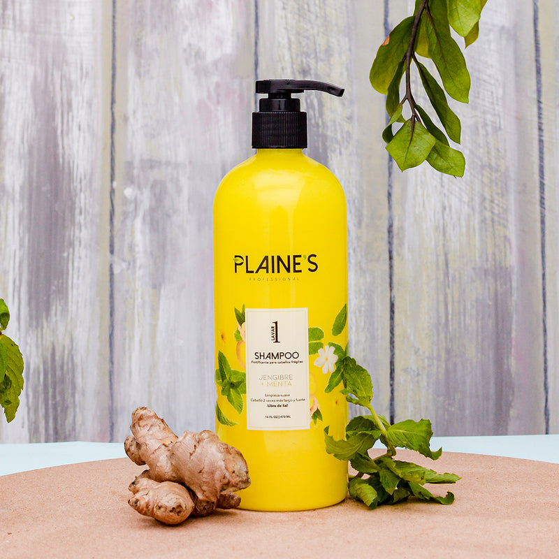 Shampoo  Jengibre y Menta - Fortificante & Crecimiento